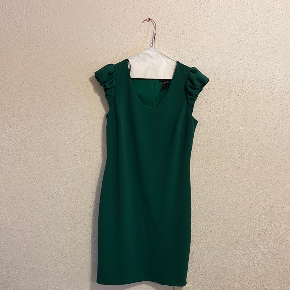 Enfocus Studio Green Mini Dress